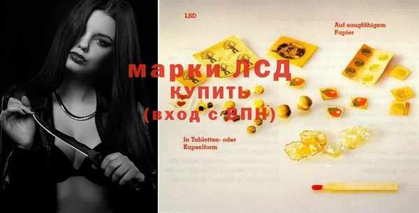 мяу мяу мука Богданович