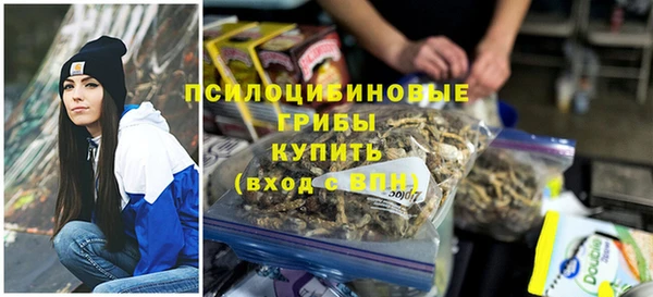 ПСИЛОЦИБИНОВЫЕ ГРИБЫ Богородицк