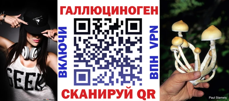 хочу   Дмитров  Галлюциногенные грибы Magic Shrooms 